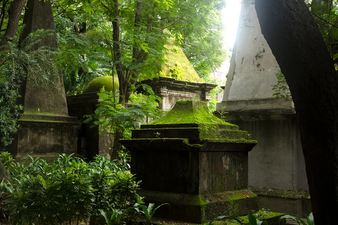 Kolkata’s hidden oasis