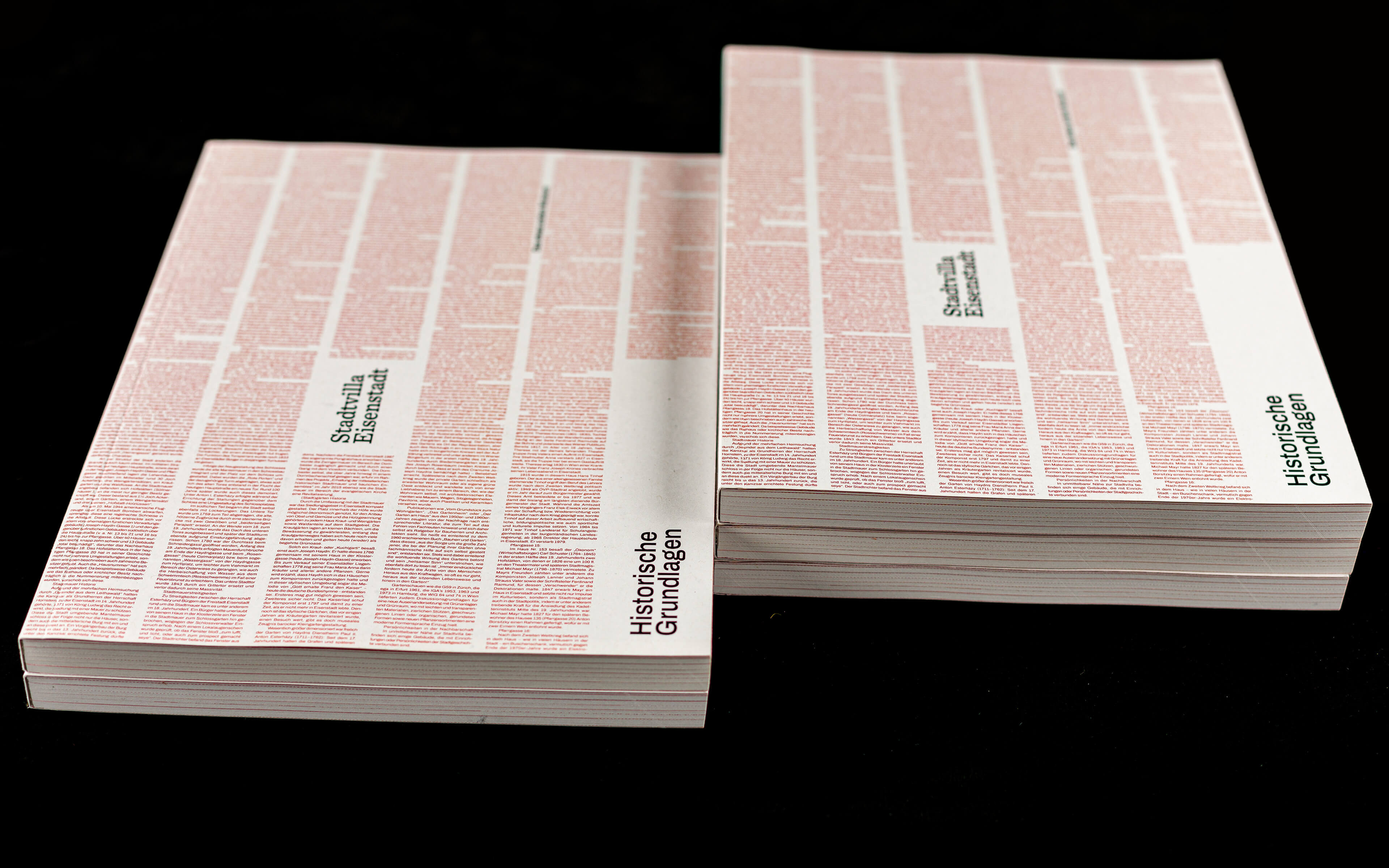 Stadtvilla Eisenstadt