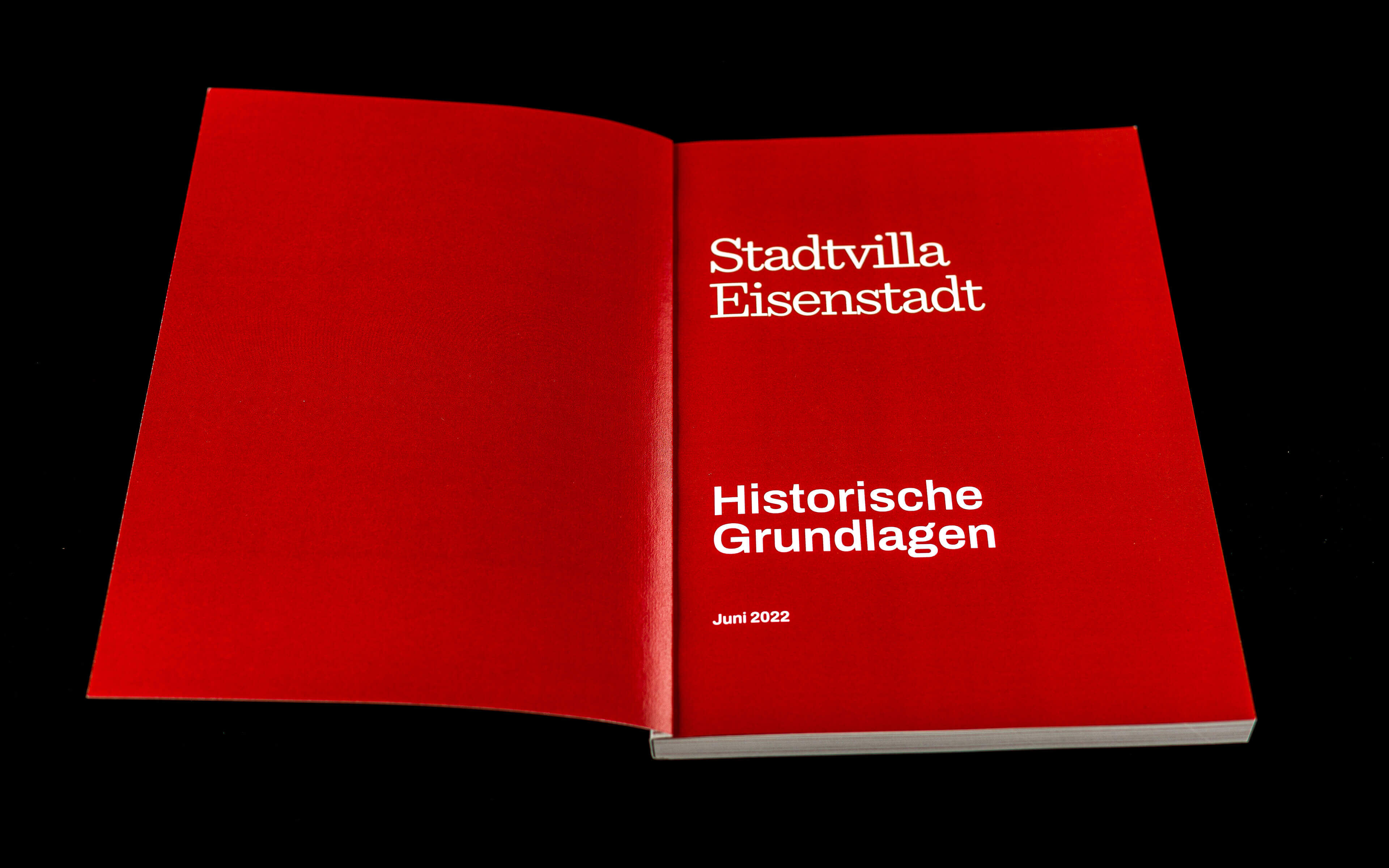 Stadtvilla Eisenstdt